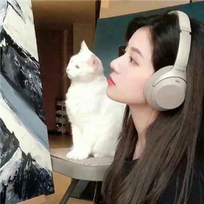 第3朵玫瑰